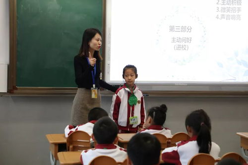 規范引領，班級管理視角下的班主任行規教育培訓